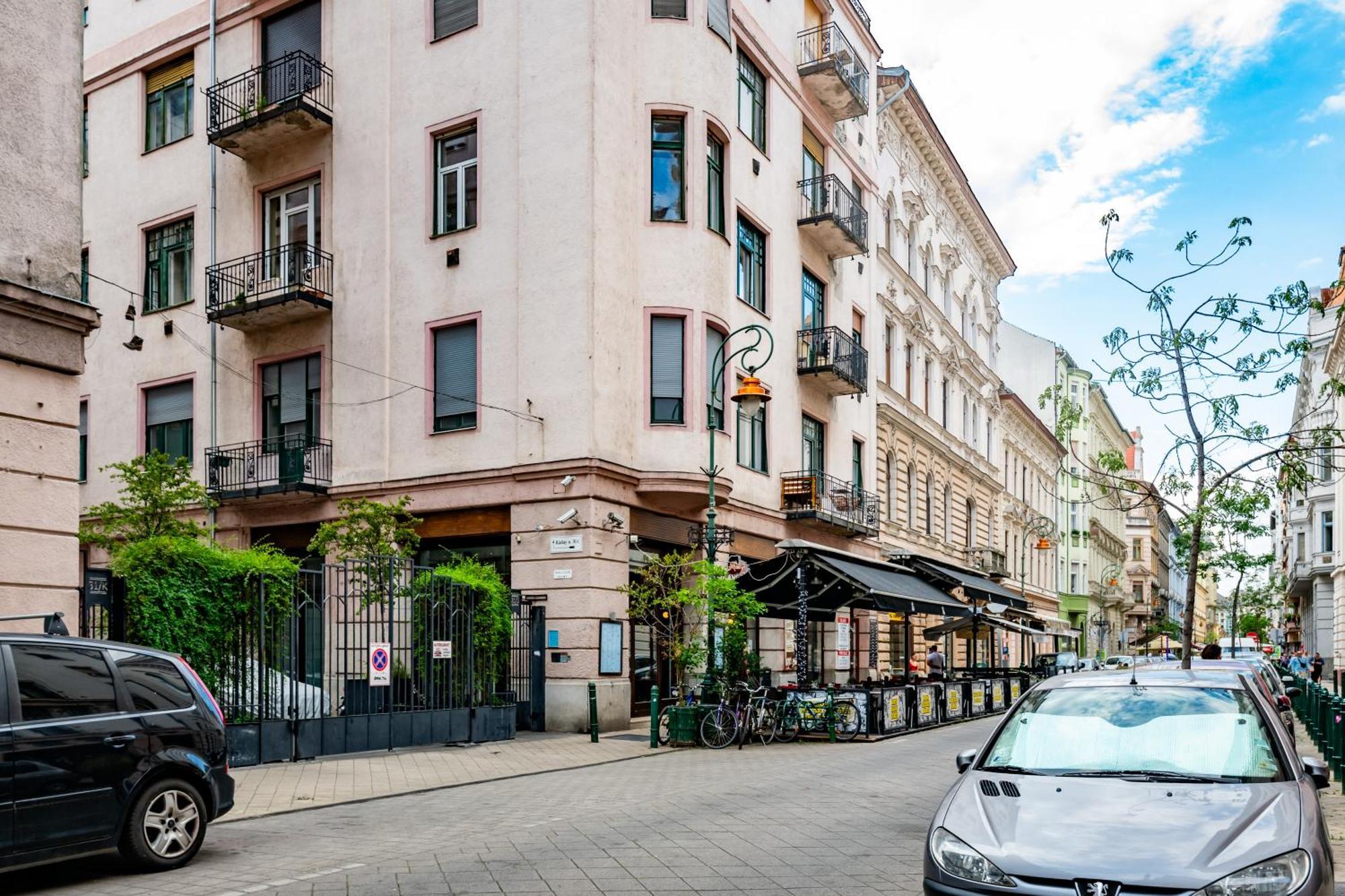 Jungle Aesthetics Downtown Apartman Aircon And Garage Parking Будапеща Екстериор снимка