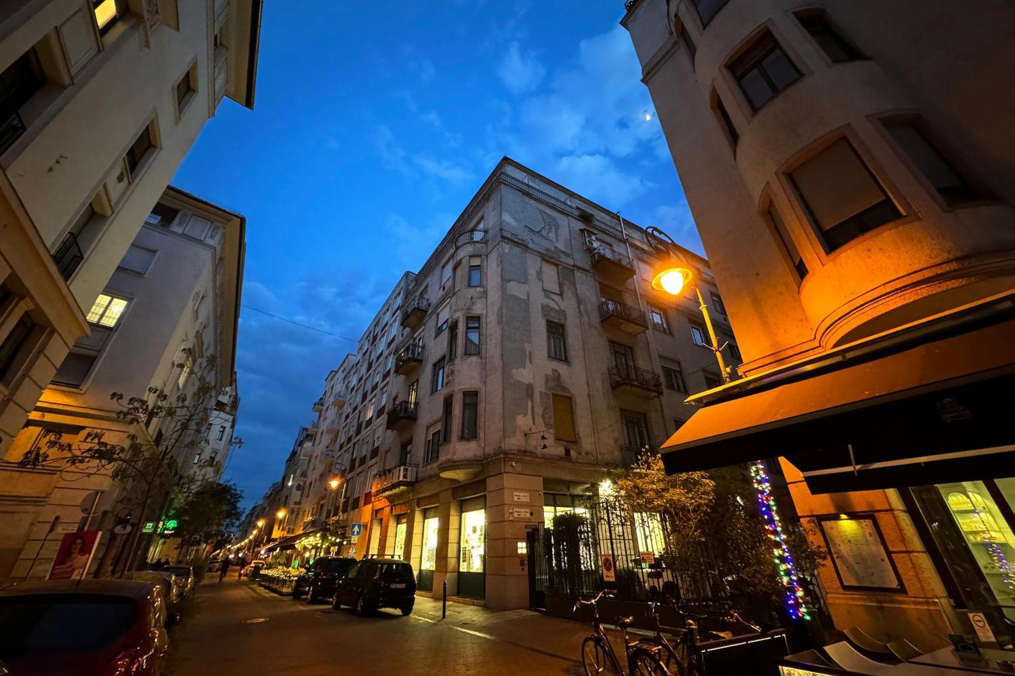 Jungle Aesthetics Downtown Apartman Aircon And Garage Parking Будапеща Екстериор снимка